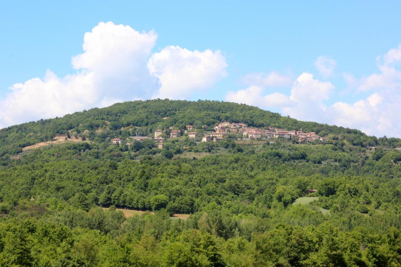 Agriturismo La Via Dell'Oliviera Ciciano Εξωτερικό φωτογραφία